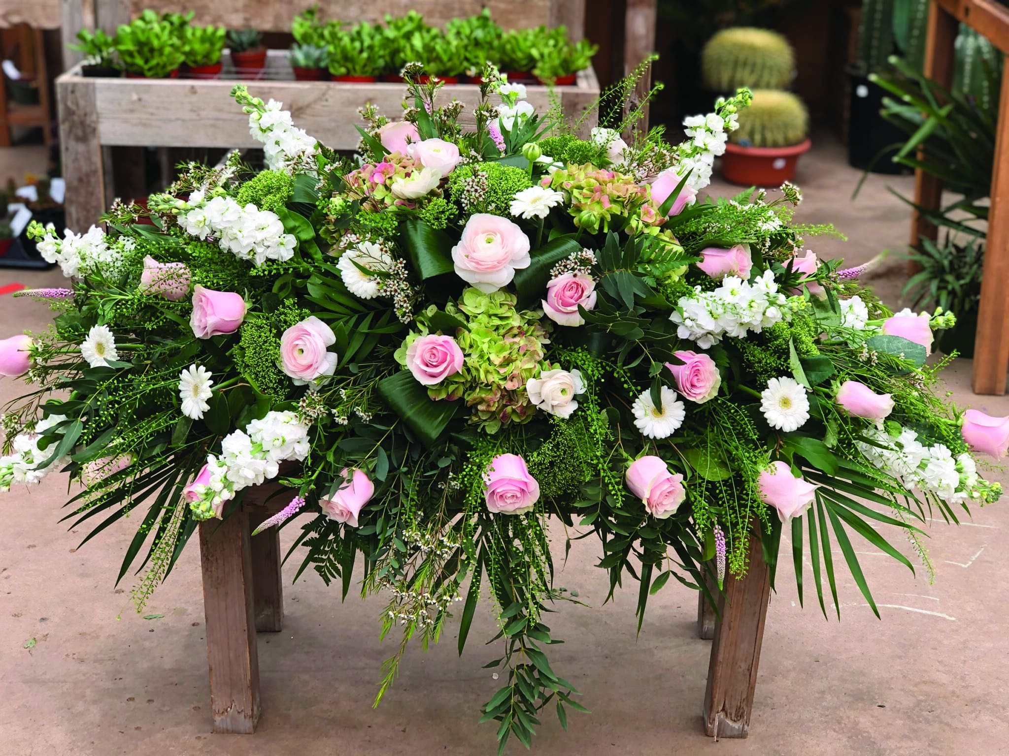 A white and blush pink casket spray made with hydrangea, pink roses , white stock , soft pink ranunculus, white gerbera daisies, white trachelium, pink veronica, and white wax flower in a lush bed of greens.