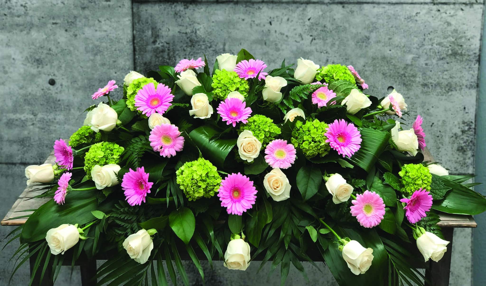 A casket spray made with white roses, green hydrangea, and pink and white gerbera daisies in a lush bed of greens.
