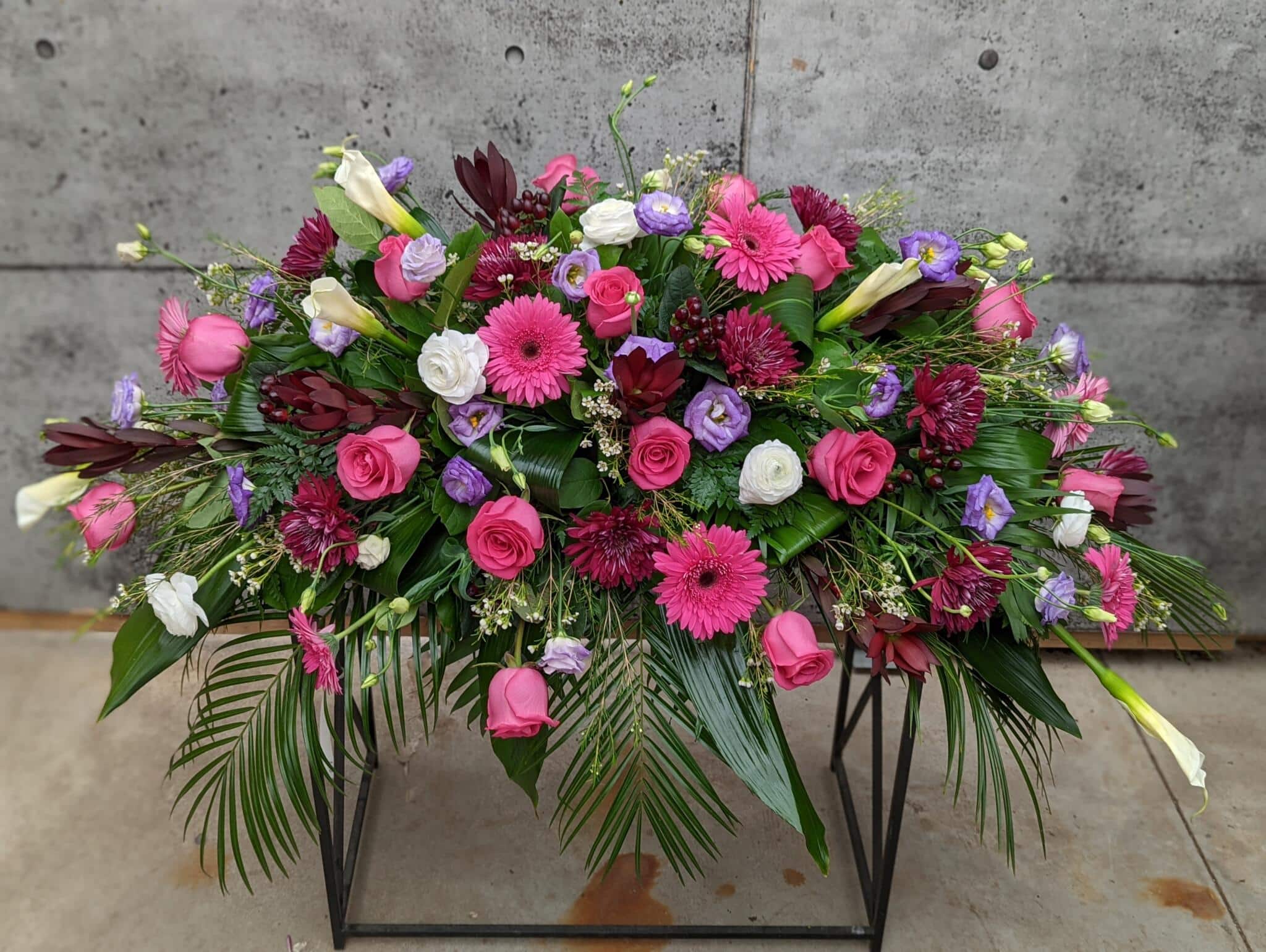 A casket spray white calla lilies, hot pink roses, dark purple mums, white ranunculus, lavender lisianthus, burgundy Leucadendron, hot pink large gerberas, white waxflower, and burgundy hypericum in a bed of greens.