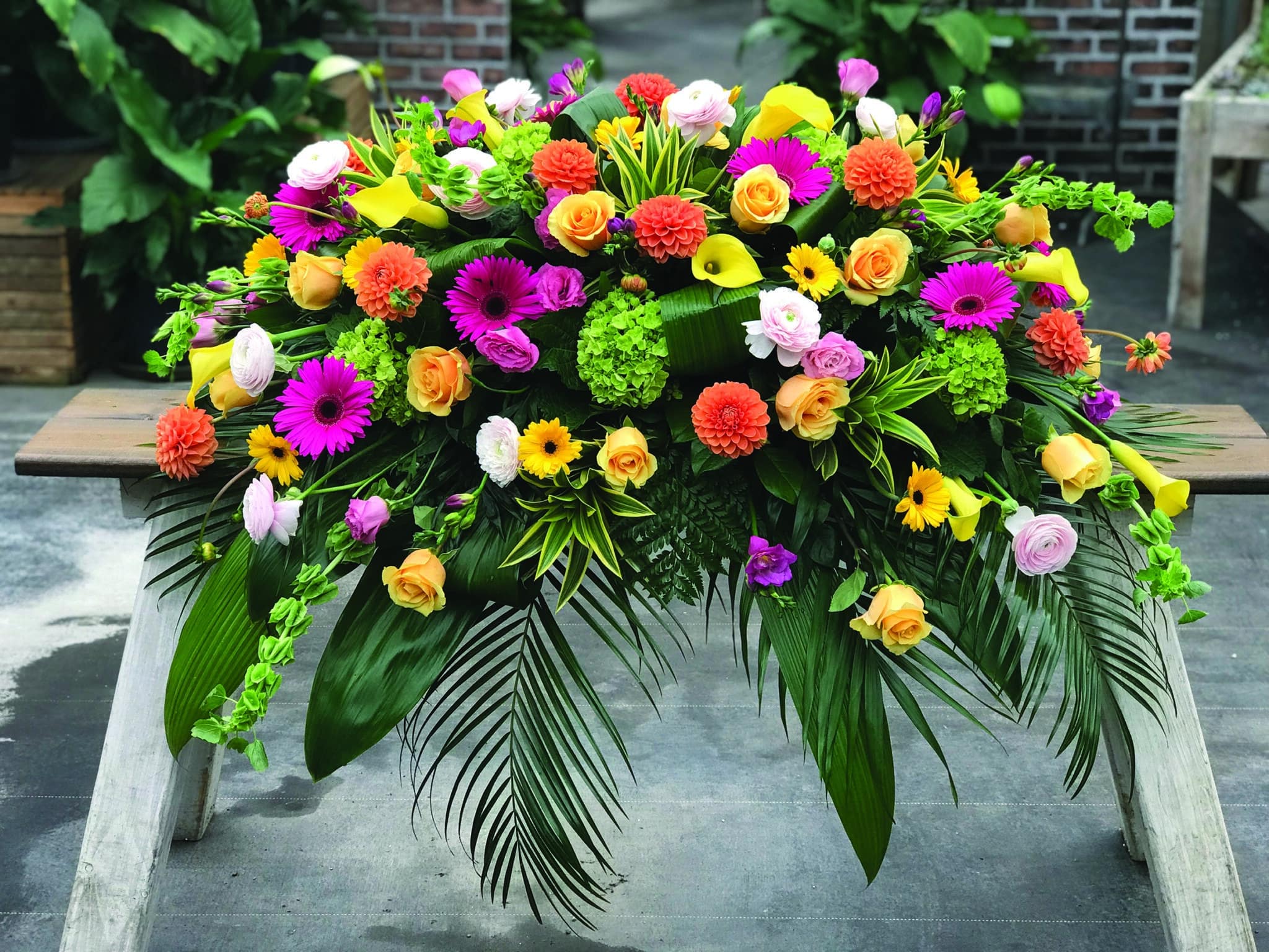 A bright and colourful casket spray made with butterscotch roses, green hydrangea, yellow calla lilies, hot pink freesia, blush ranunculus, pink lisianthus, yellow gerberas, hot pink gerberas, orange ball dahlias, and bells of ireland on a bed of greens.