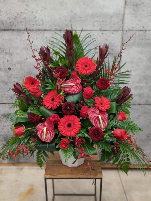 A deep red side spray made with roses, gerberas, leucadendron, dahlias, hypericum, annabelle orchids, and anthuriums backed by greens.