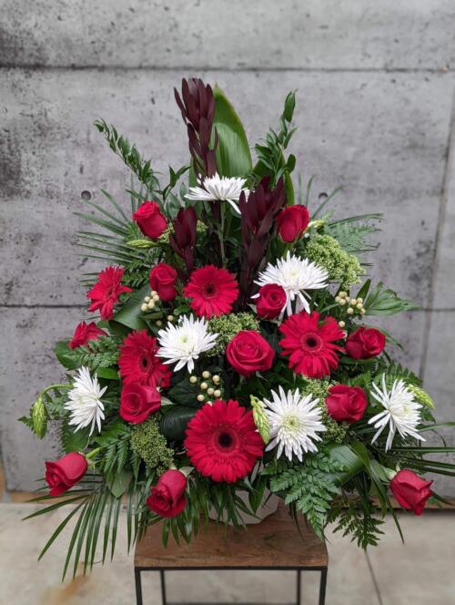 A red and white side spray made with burgundy leucadendron, red roses, white mums, white trachelium, white hypericum, star of Bethlehem, and red gerberas set against a spray of greens.