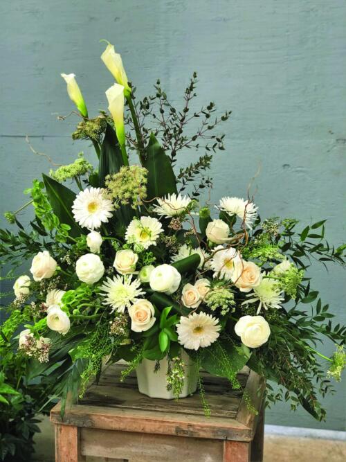 An asymetrical white side spray with calla lilies, gerberas, roses, mums, rununculus, bells of Ireland, queen Anne's lace, waxflower, curly willow, and a mix of greens.