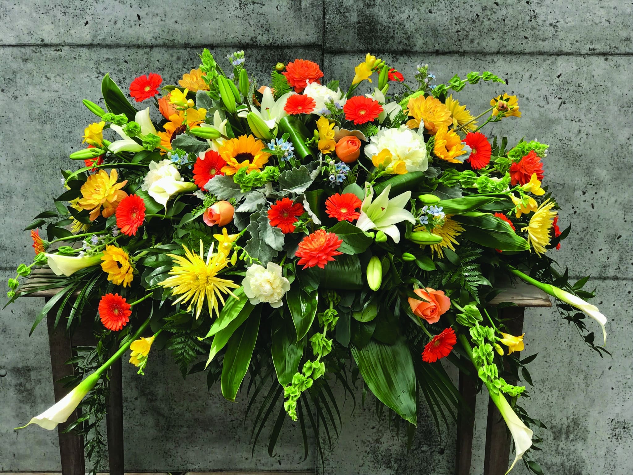 A warm and bright casket spray made with white calla lilies, yellow spider mums, sunflowers, orange dahlias, yellow/peach dahlias, white Asiatic lilies, orange gerberas, coral reef roses, bells of Ireland, white peonies, yellow freesia, and blue tweedia on a bed of mixed greens.