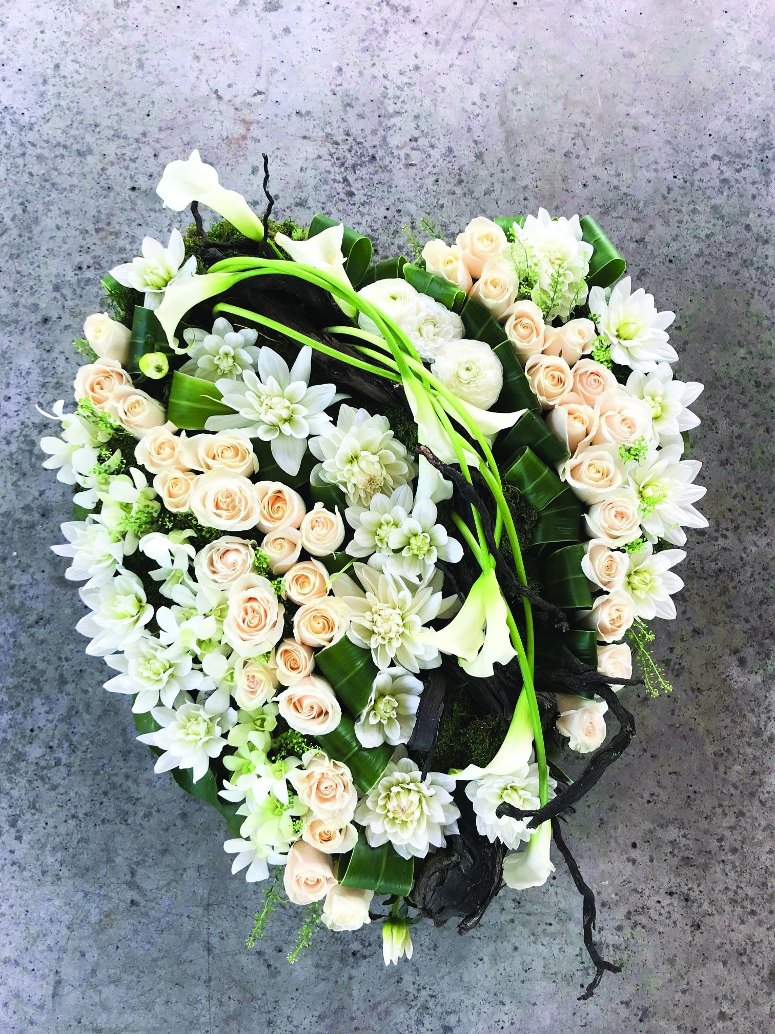 A solid heart with badns of white dendrobium orchids, white roses, white dahlias, white calla lilies, and white rununculus whith a grapevine stump and greens nestled in between.