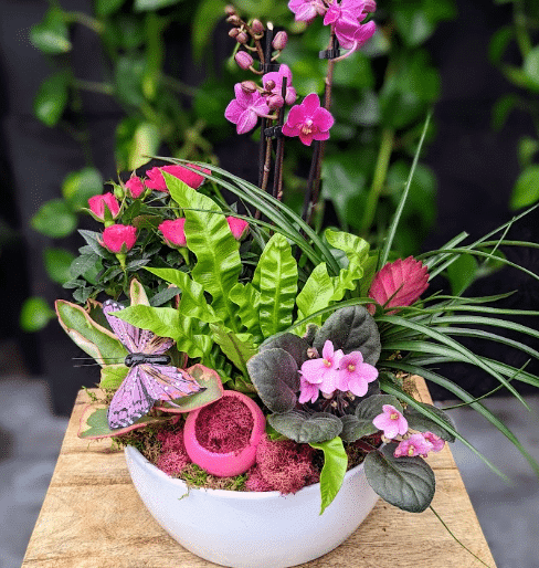 A planted arrangement in a white footed bowl combining pink flowering plants, a slender orchid, and dark ruffled tropical foliage.