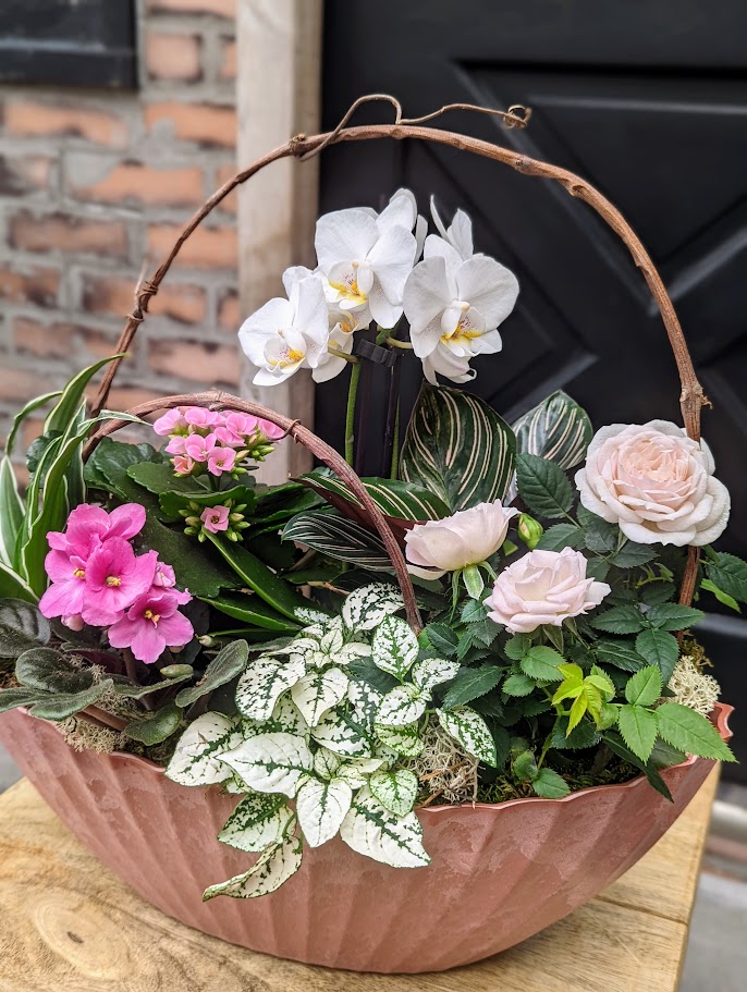 A side view of a blush pink basket garden featuring a white orchid, blush roses, pink kalanchoe, African violet, and striped tropical foliage.