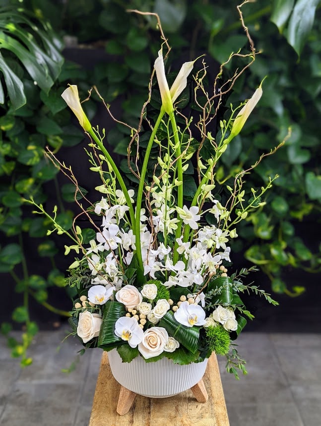 A tall white sympathy arrangement of orchids, white blooms, and greenery in a white footed vessel, set against greenery.
