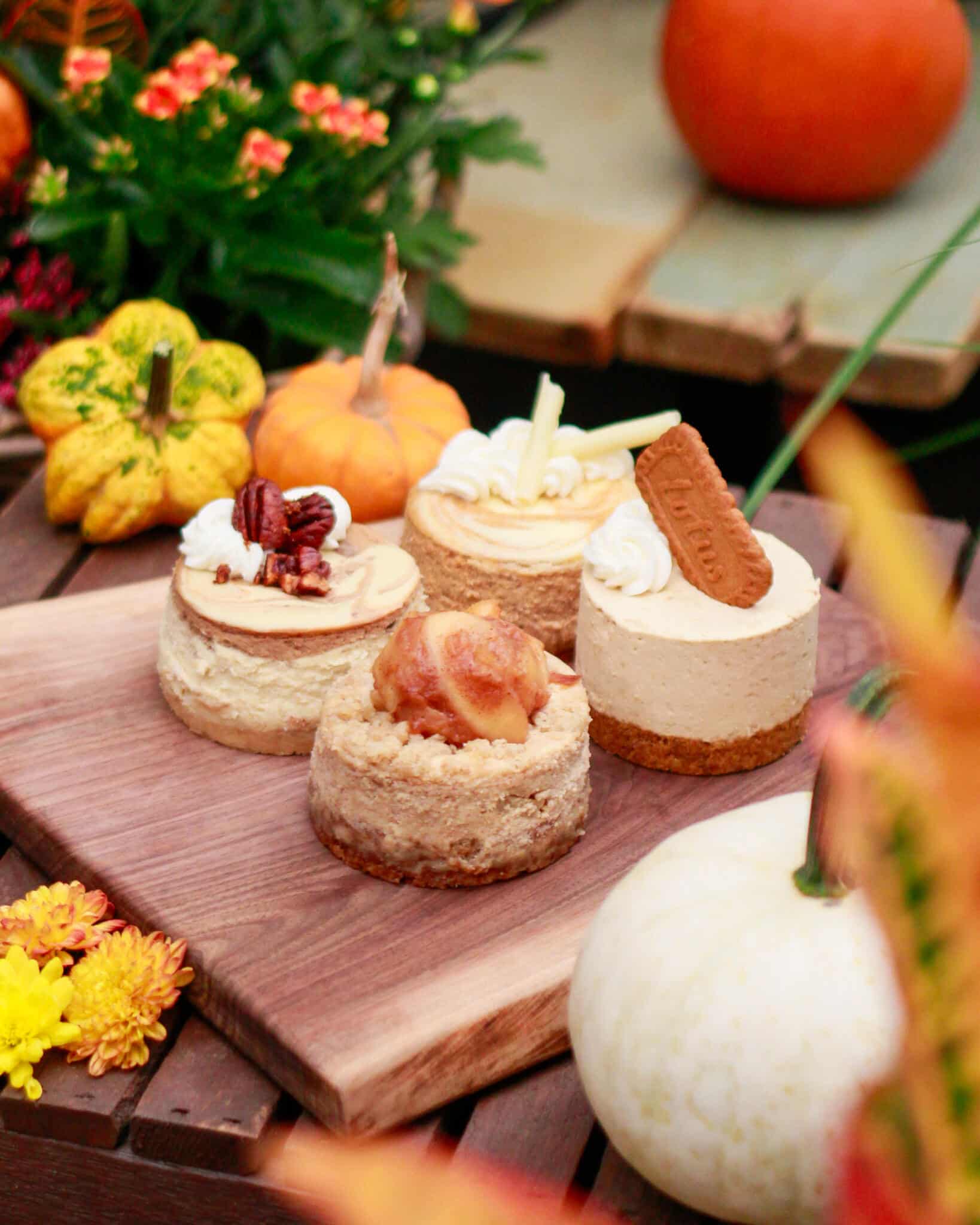 Four mini cheesecakes on a wooden board with mini pumpkins, a white pumpkin and orange flowers around them.