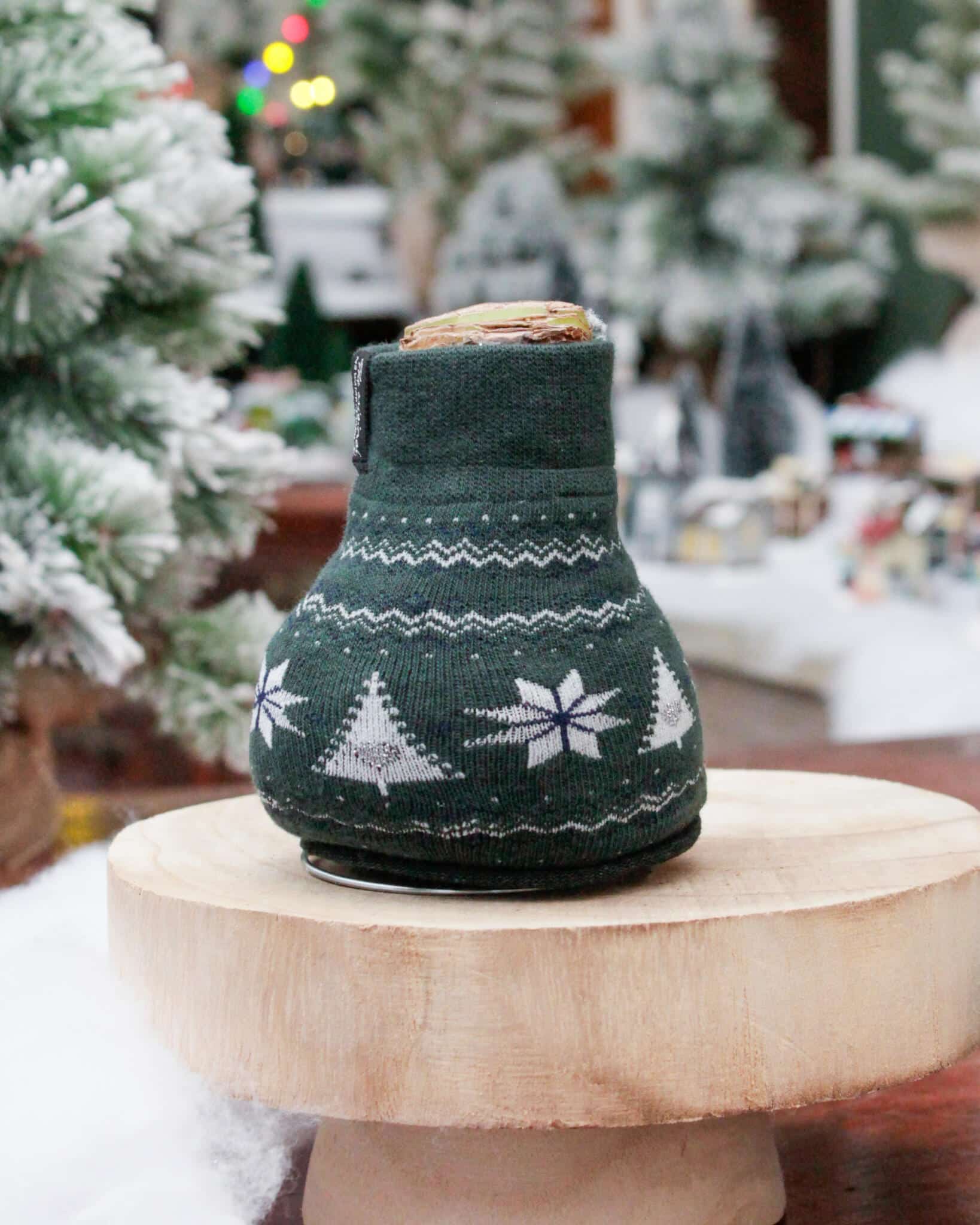 A waxed amaryllis bulb wrapped in a forest-green knit sweater with white snowflakes and trees, displayed on a wooden pedestal.