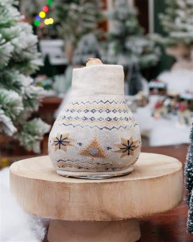 A waxed amaryllis bulb wrapped in a cream knit sweater with tan and navy Nordic snowflake and tree patterns, on a wooden pedestal.