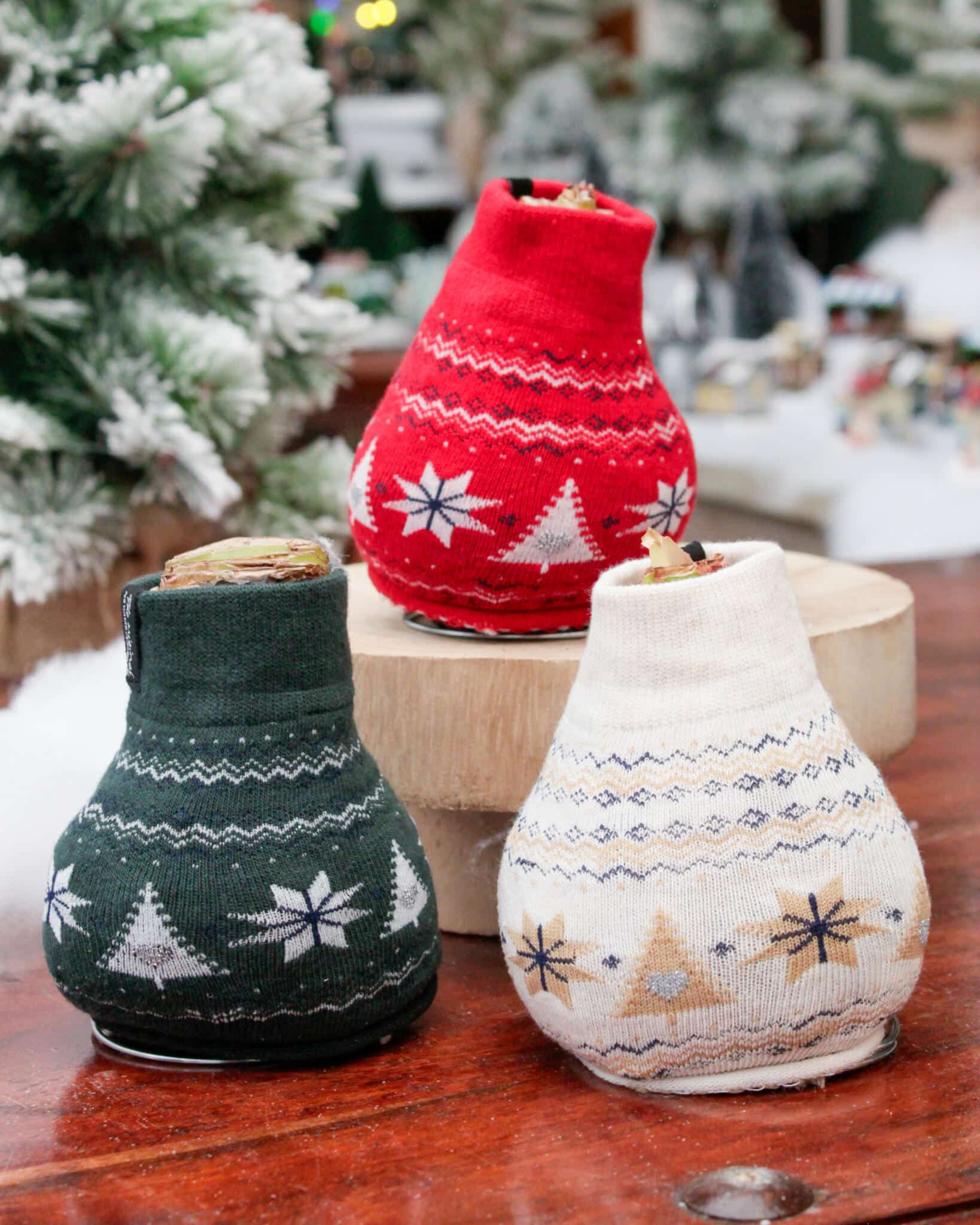 Three waxed amaryllis bulbs wrapped in cozy knit Nordic sweaters in red, green, and cream, each patterned with snowflakes and trees, displayed on a wooden surface.