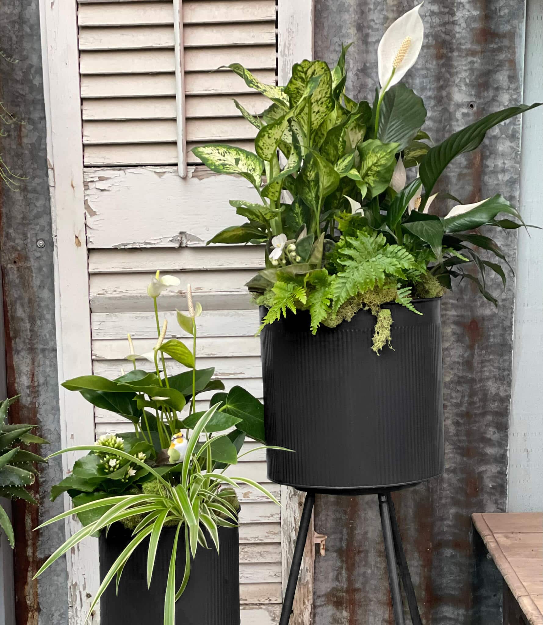 A tall black tripod planter filled with a peace lily and mixed tropical foliage, with a spider plant and more greenery at its base.