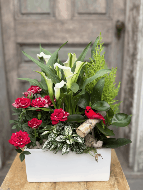 White rectangular planter with white calla lilies, red blooms, variegated foliage, lemon cypress and a red bird figure.