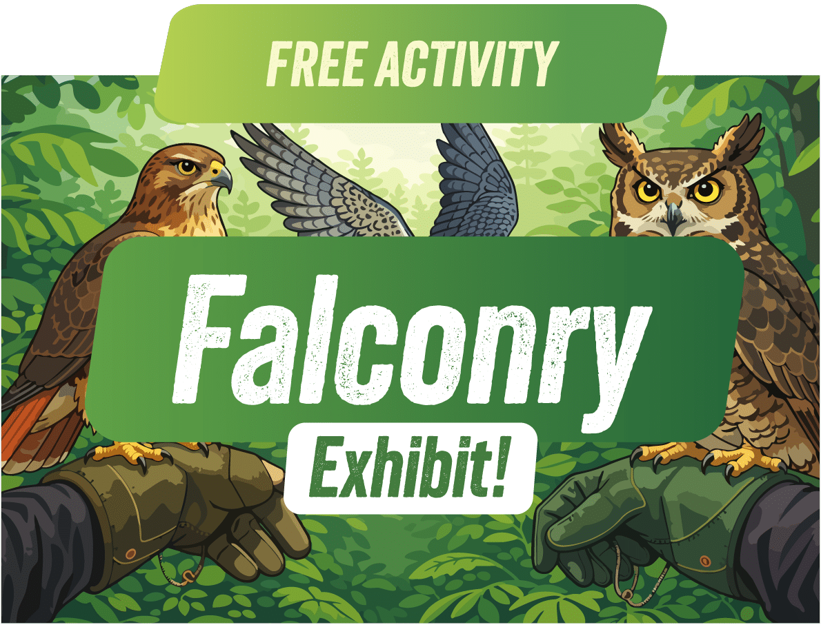 Promotional banner for the Falconry Exhibit free activity at March Break 2026, with illustrated hawk, blue jay, and owl perched on falconer gloves in a forest setting.