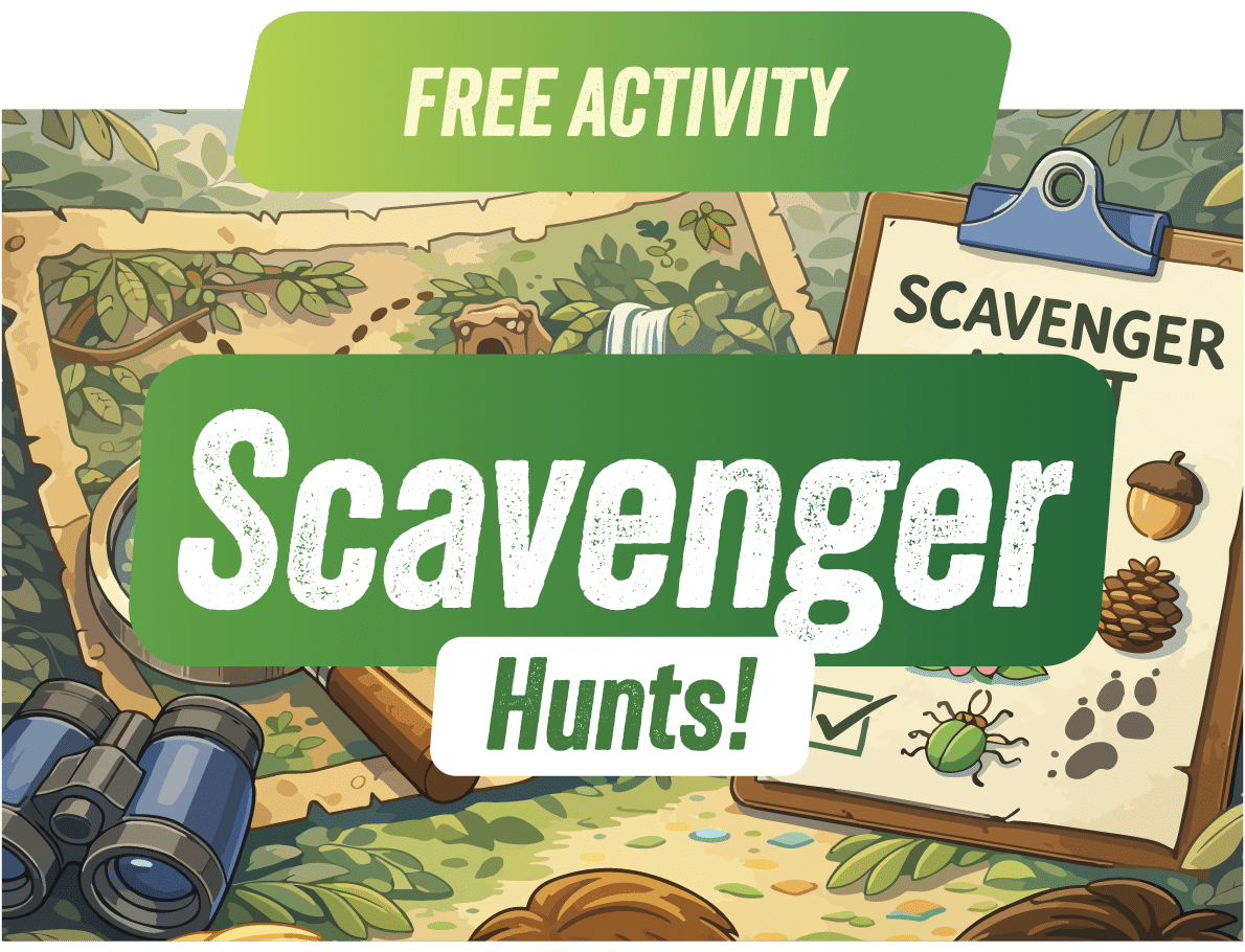 Promotional banner for the Scavenger Hunts free activity during March Break 2026, with illustrations of a treasure map, magnifying glass, binoculars, bug, and acorn on a green background.