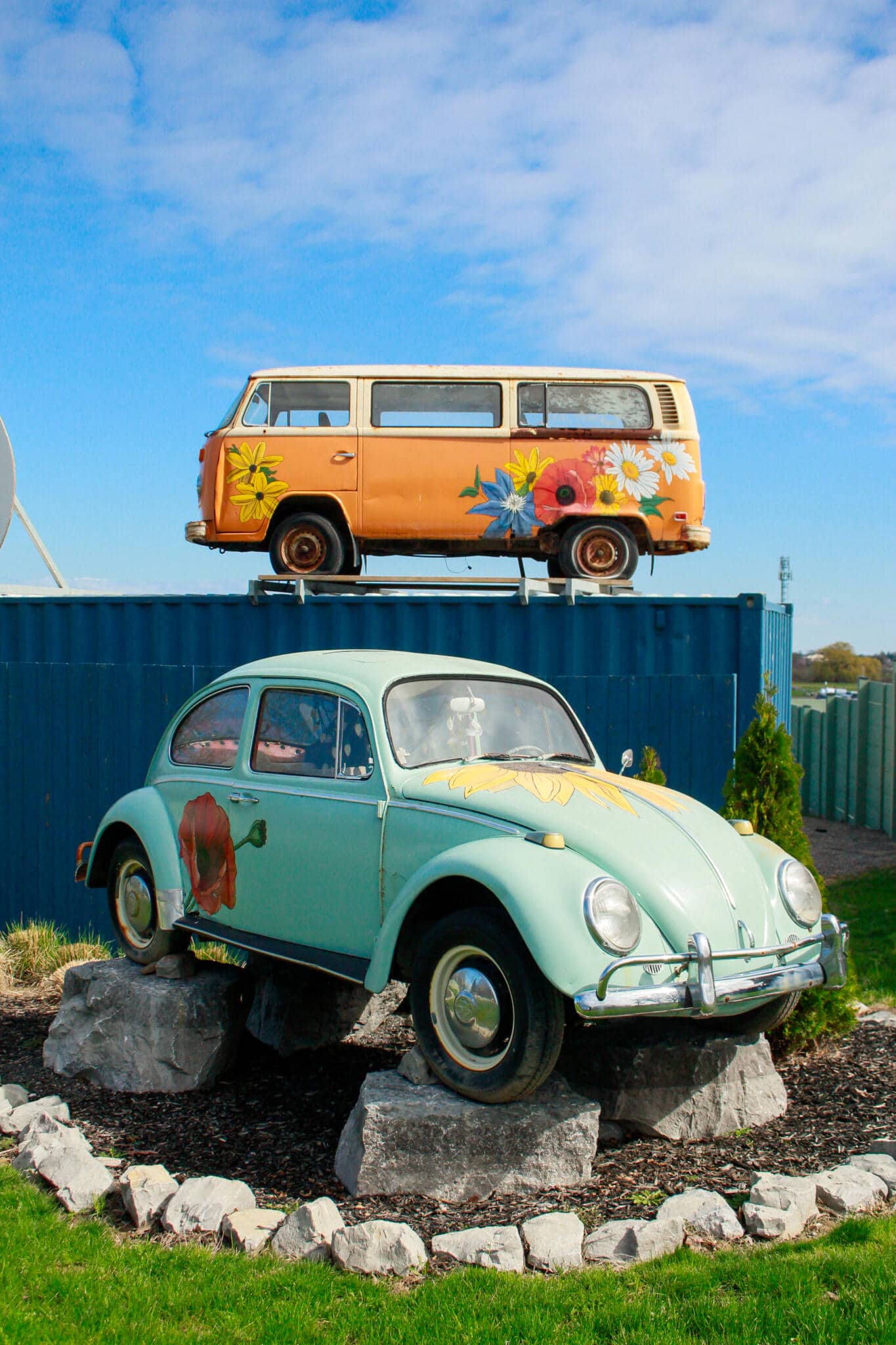 The Watering Can Vintage VW Beetle and Bus on Outdoor Display A vintage blue Volkswagen Beetle and orange Volkswagen bus displayed on an elevated platform outside The Watering Can Flower Market, decorated with flowers and colourful paint.