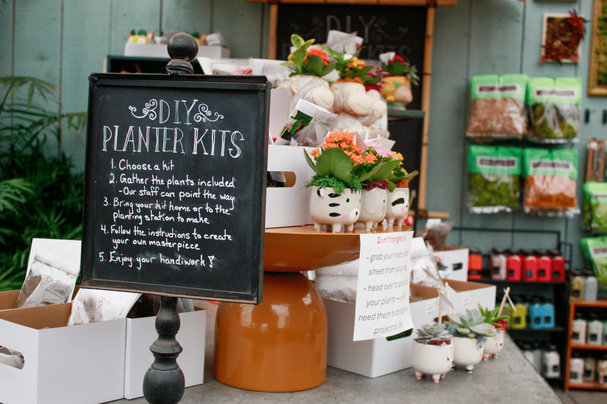DIY Planter Kit Display at The Watering Can DIY planter kit display with plants and supplies available at The Watering Can Flower Market