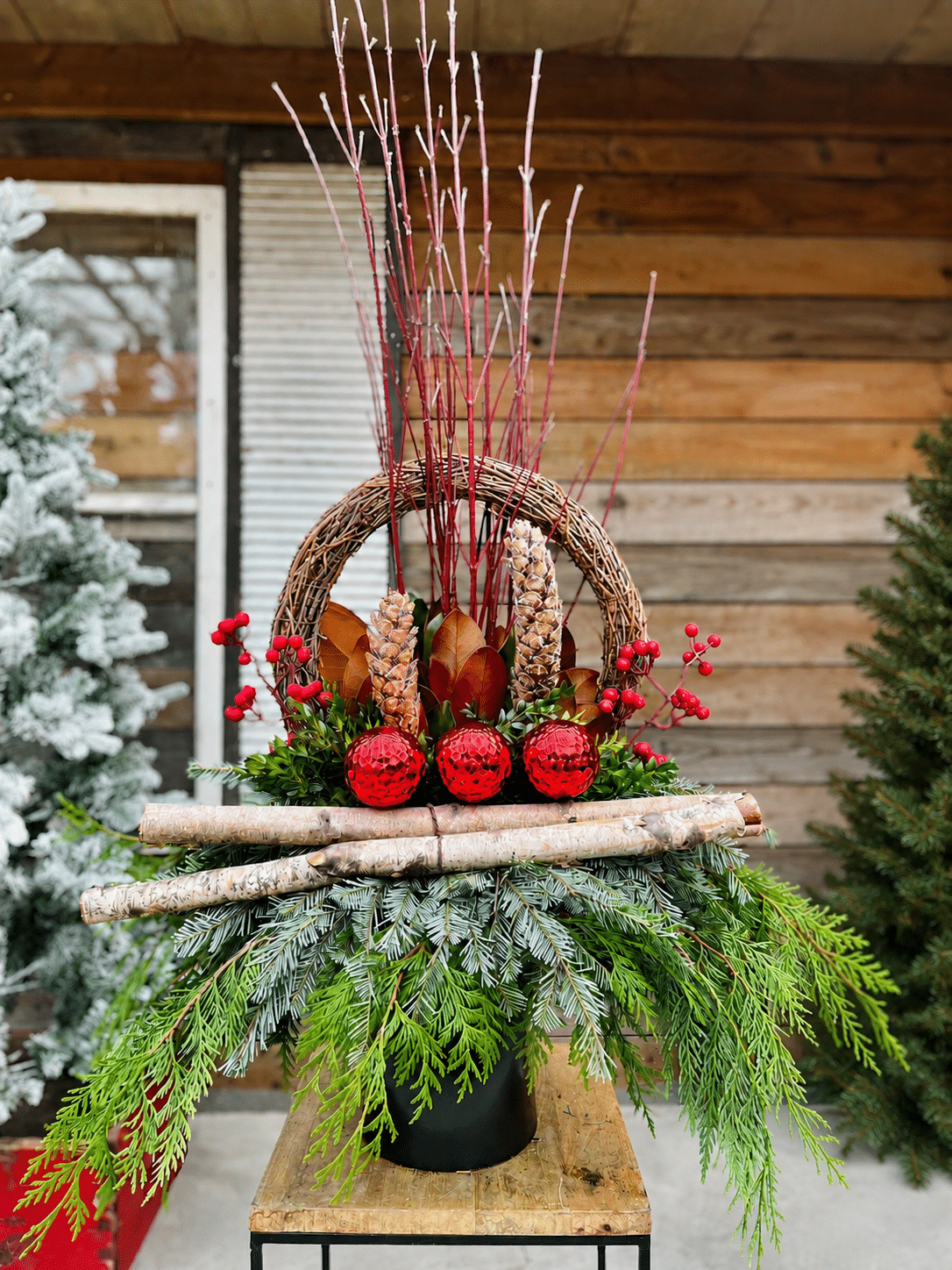 A rustic winter urn of evergreens with a grapevine arch, red dogwood branches, birch logs, red ornaments and magnolia leaves.