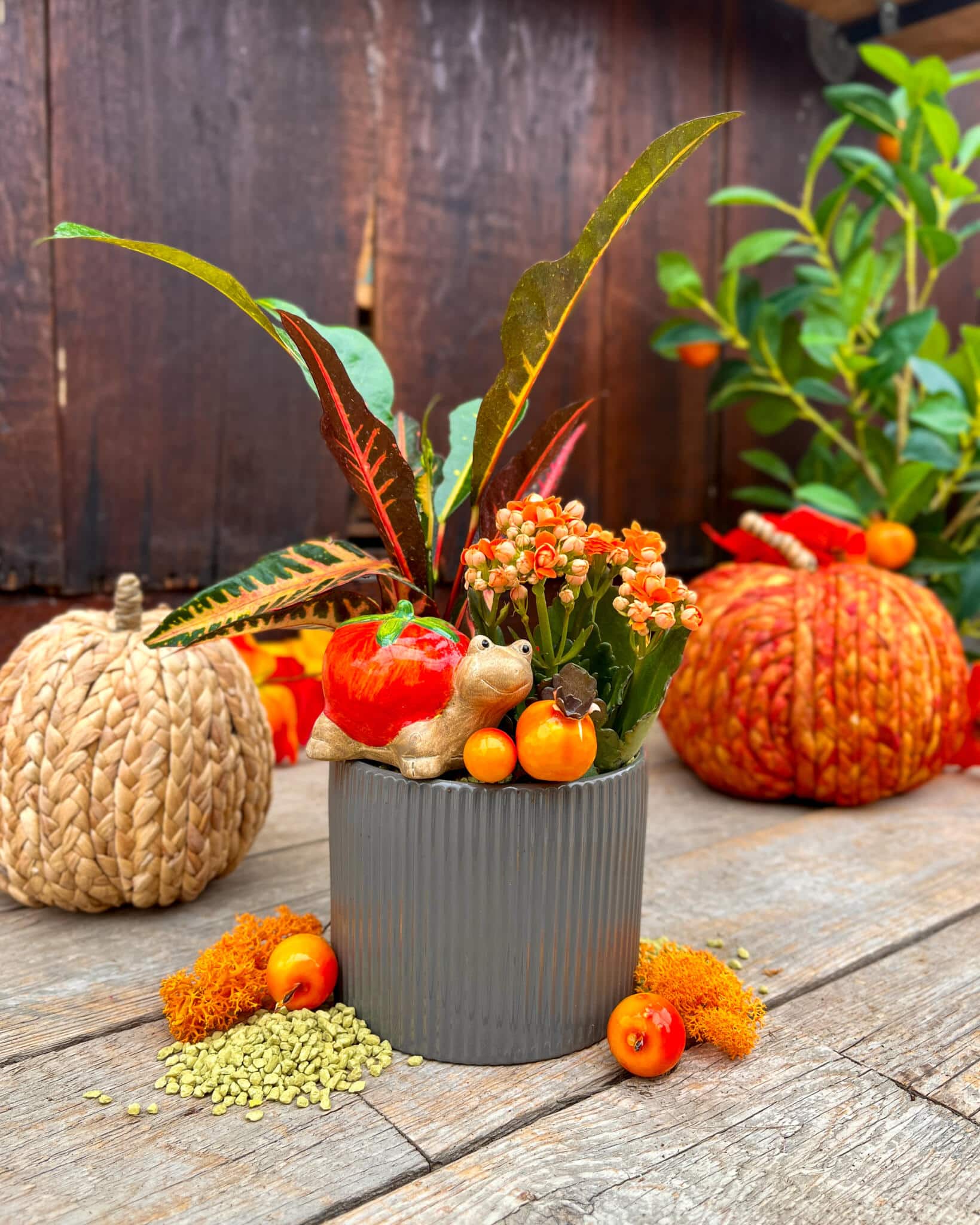 Cozy Little Harvest - Image 4
