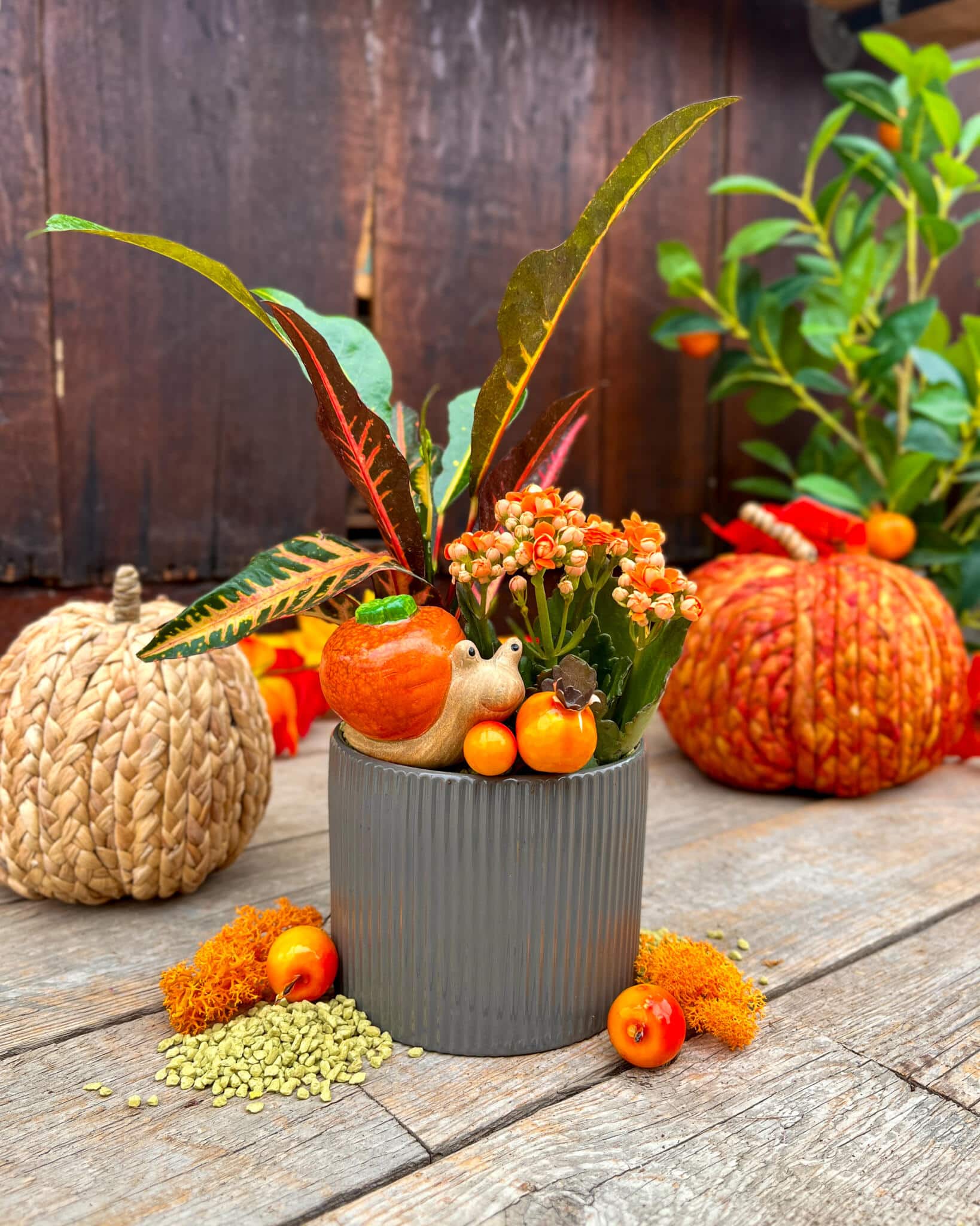 Cozy Little Harvest - Image 3