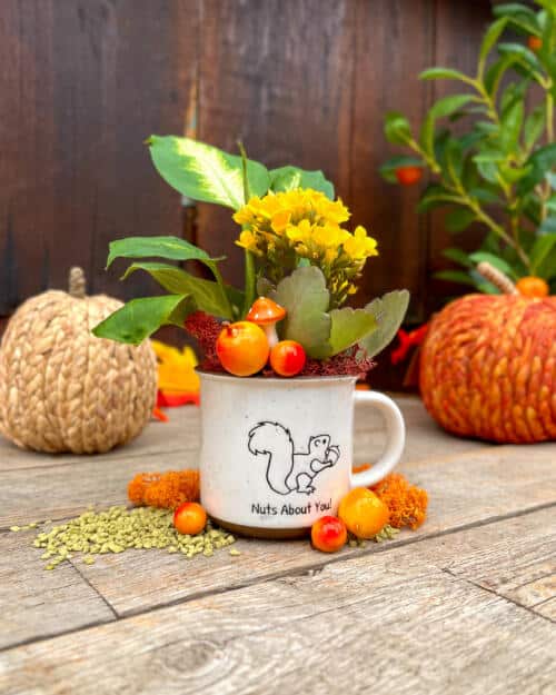 Forest Friends Mugs