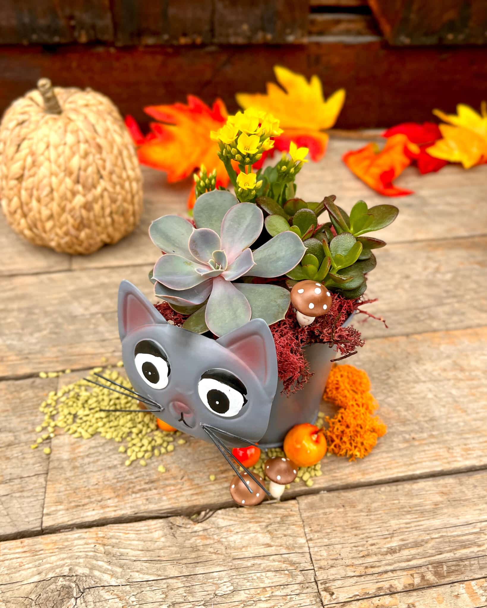 Paws & Plants - Image 7