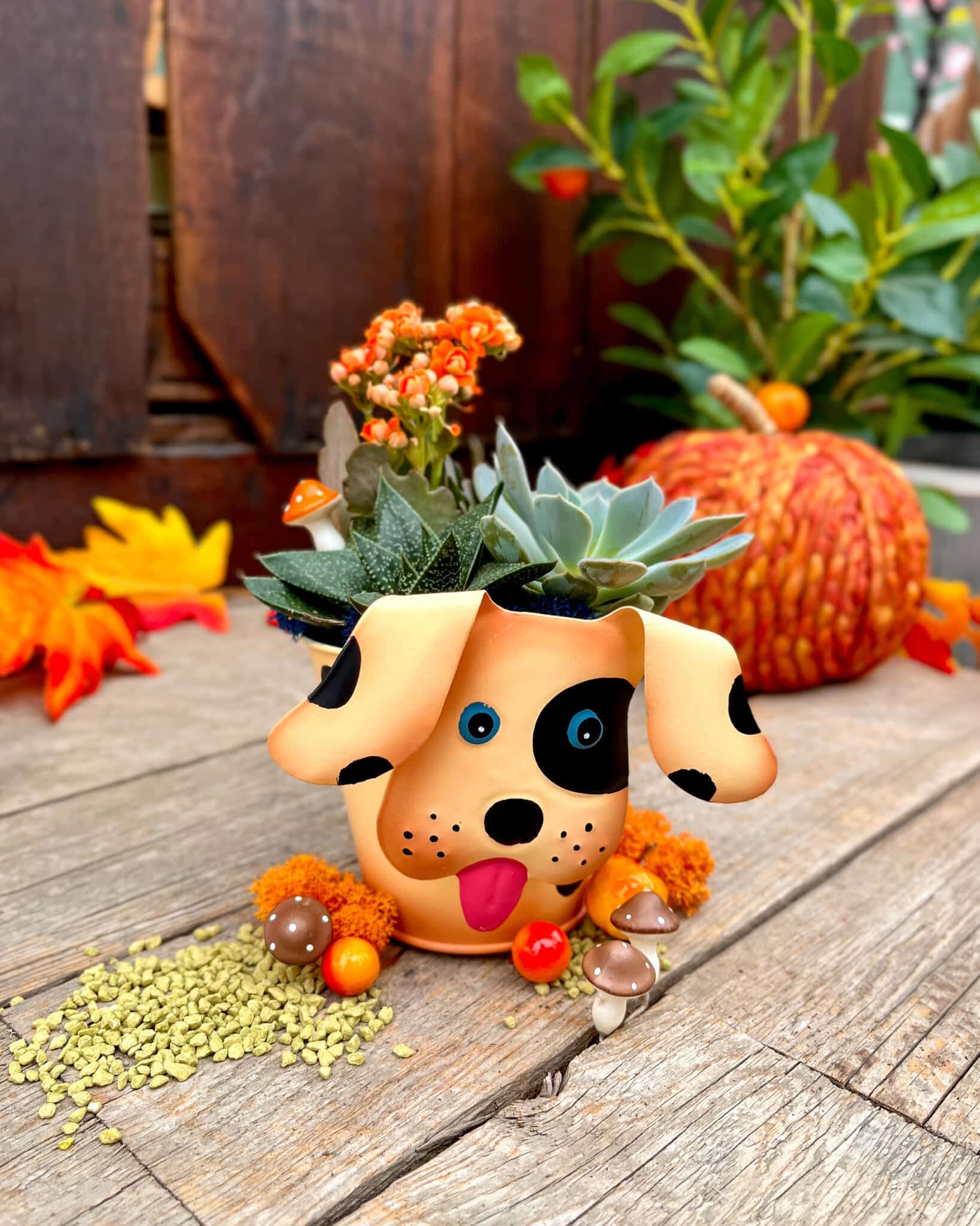 Paws & Plants - Image 2