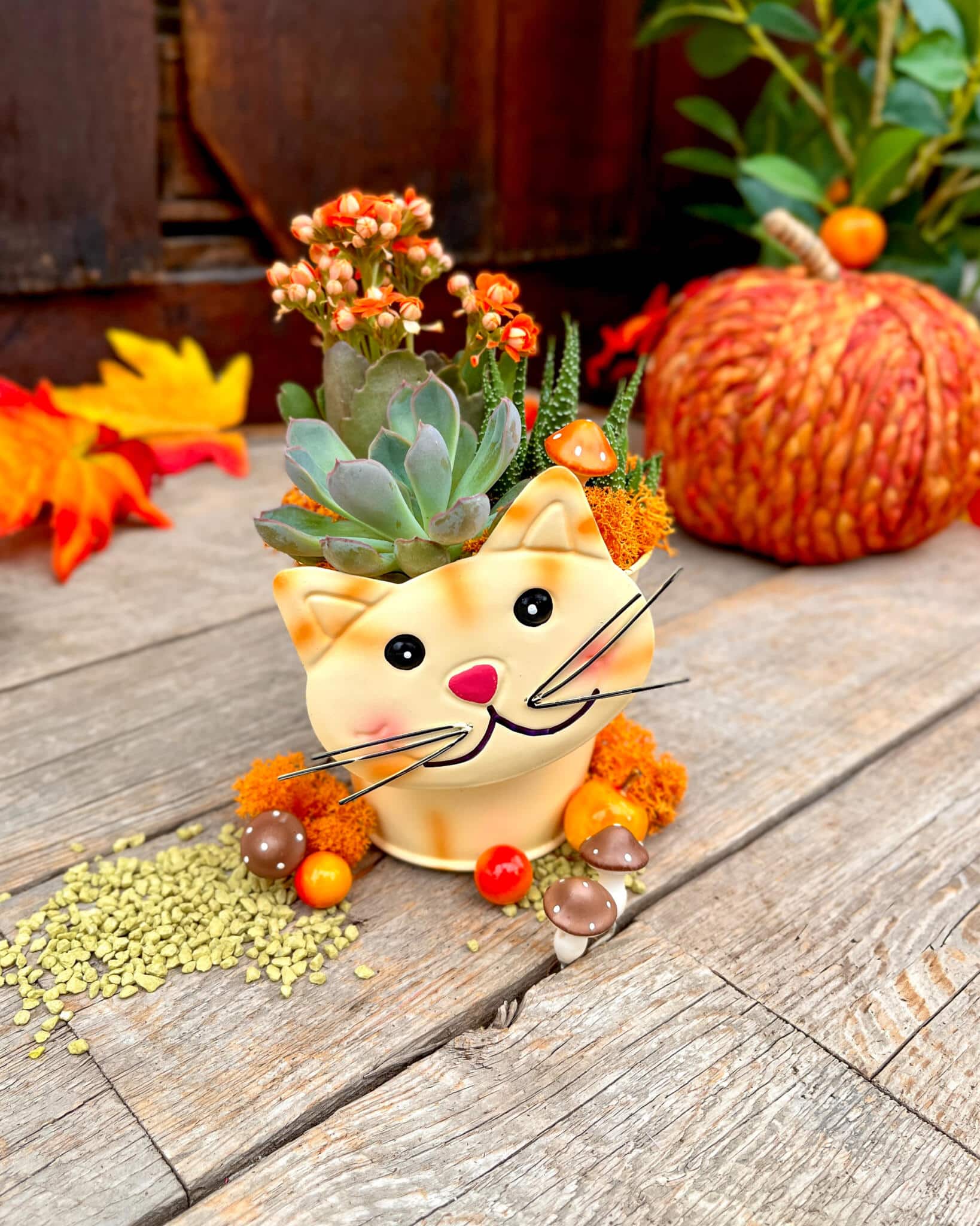 Paws & Plants - Image 6