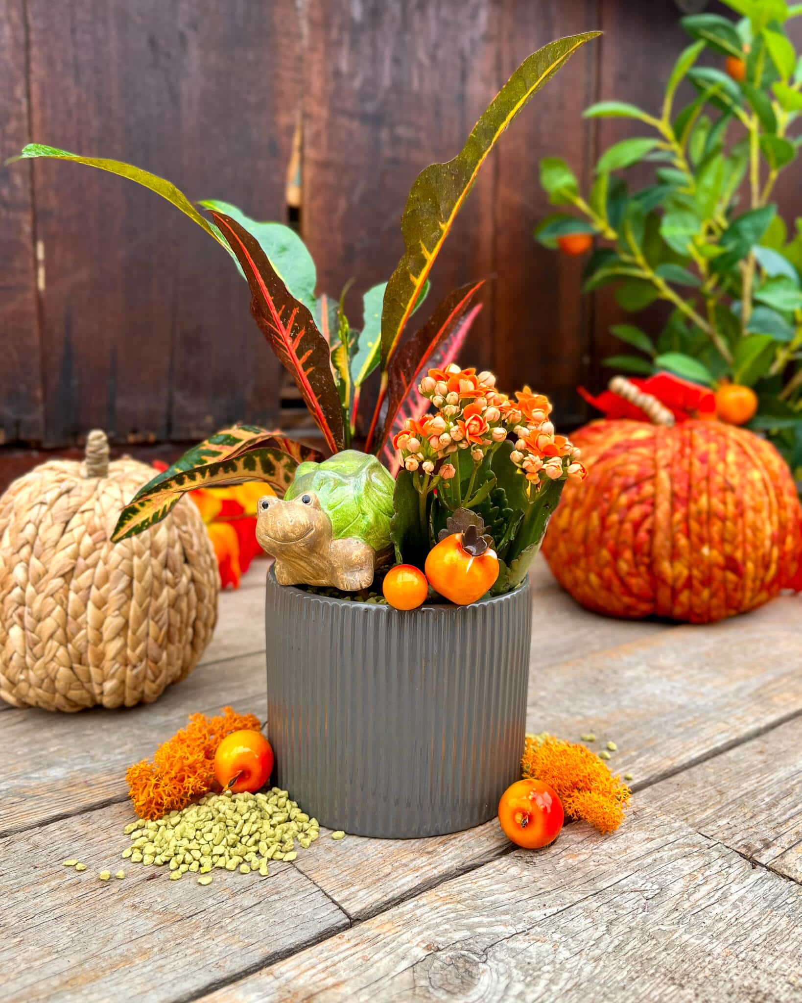 Cozy Little Harvest - Image 2