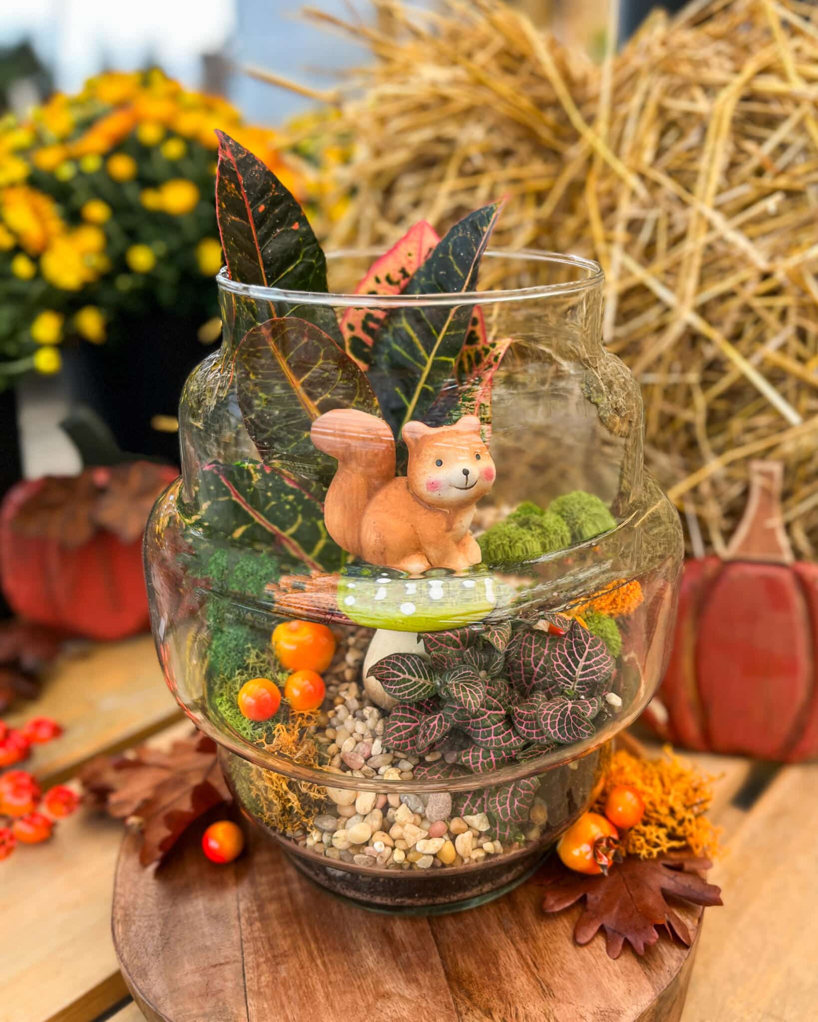 Glass terrarium with a squirrel figurine on a green toadstool, tropical leaves and orange berries, straw bales behind.
