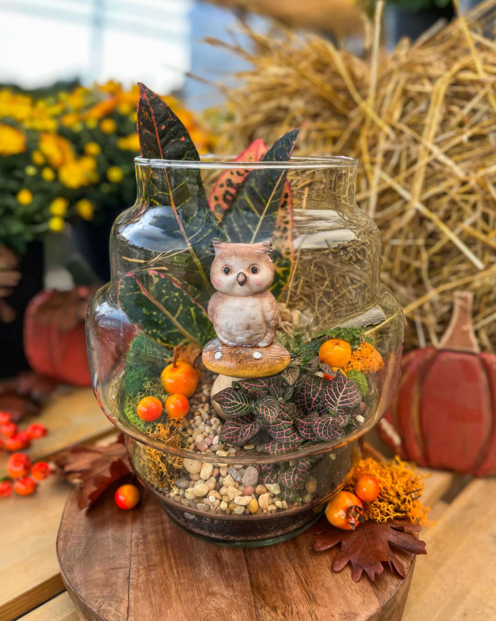 Glass terrarium with an owl figurine on a toadstool, tropical leaves and orange berries, with straw bales and mums behind.