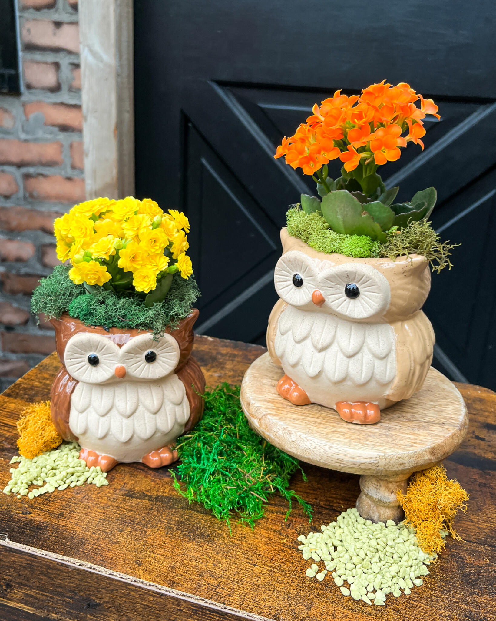 Two owl planters, one with yellow and one with orange kalanchoe, on a rustic table with moss.