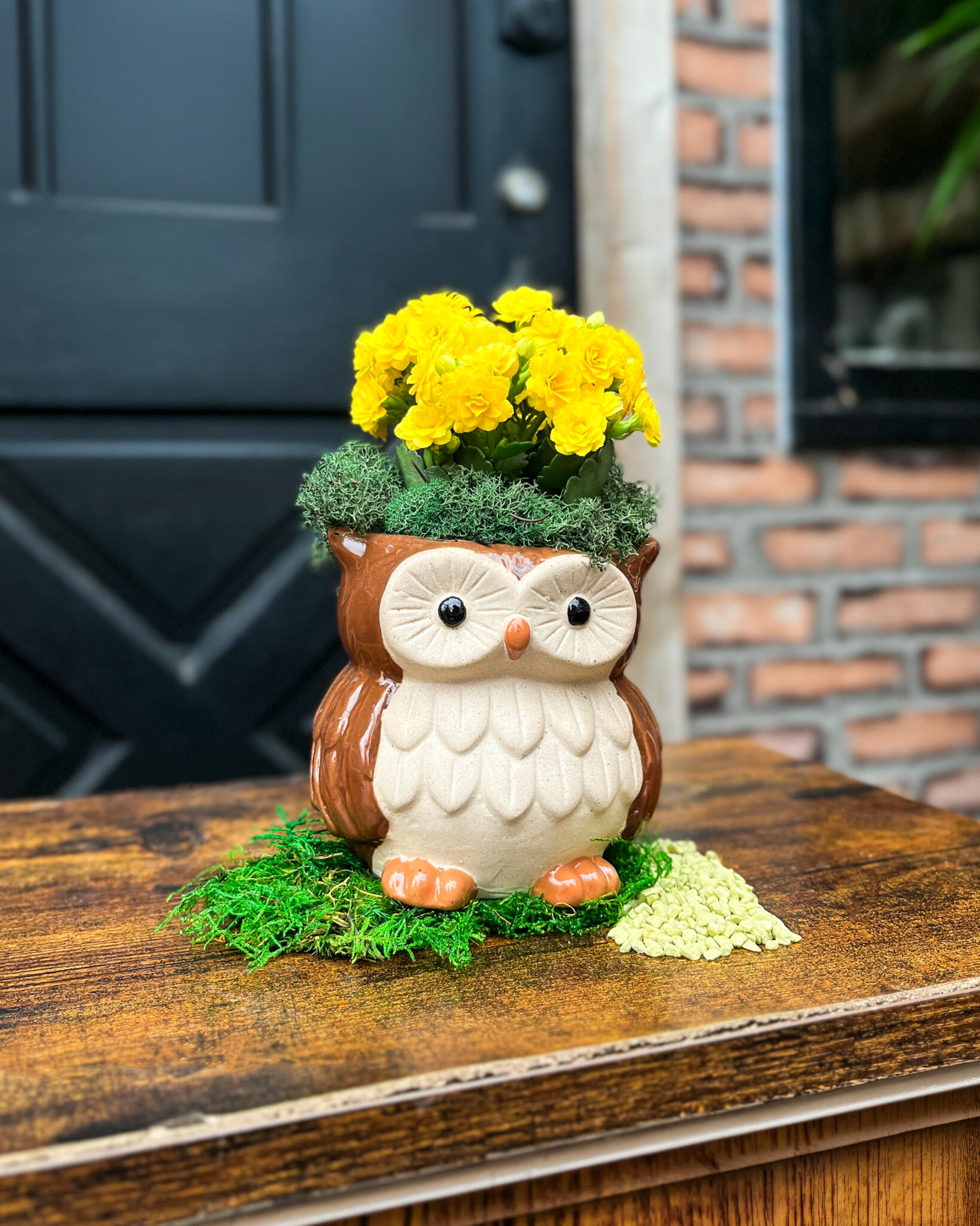 Brown owl planter with yellow kalanchoe and moss on a wooden table beside a brick wall.
