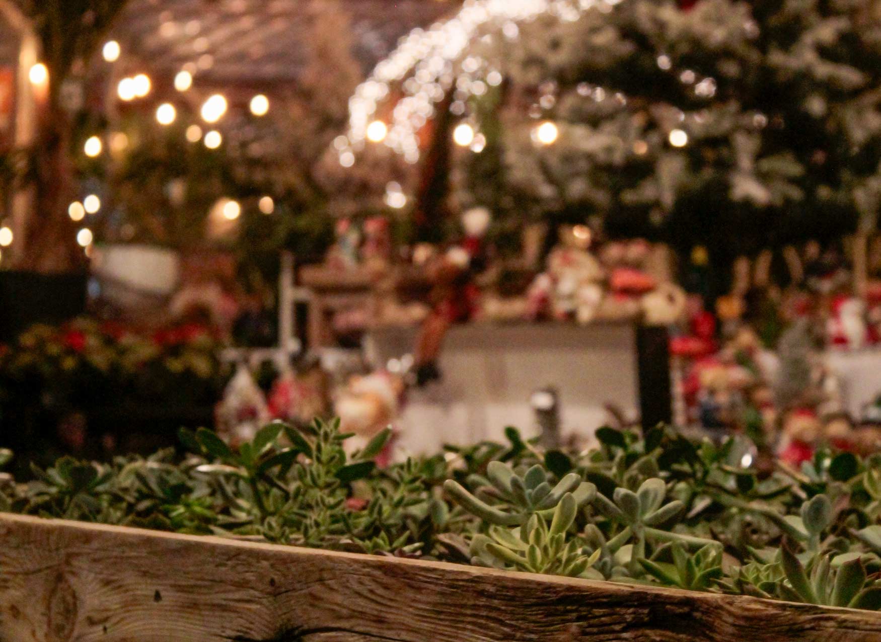 Late-Night Holiday Shopping at The Watering Can