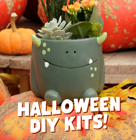 Green monster-face planter with succulents and orange blooms among pumpkins, with the text "Halloween DIY Kits!"