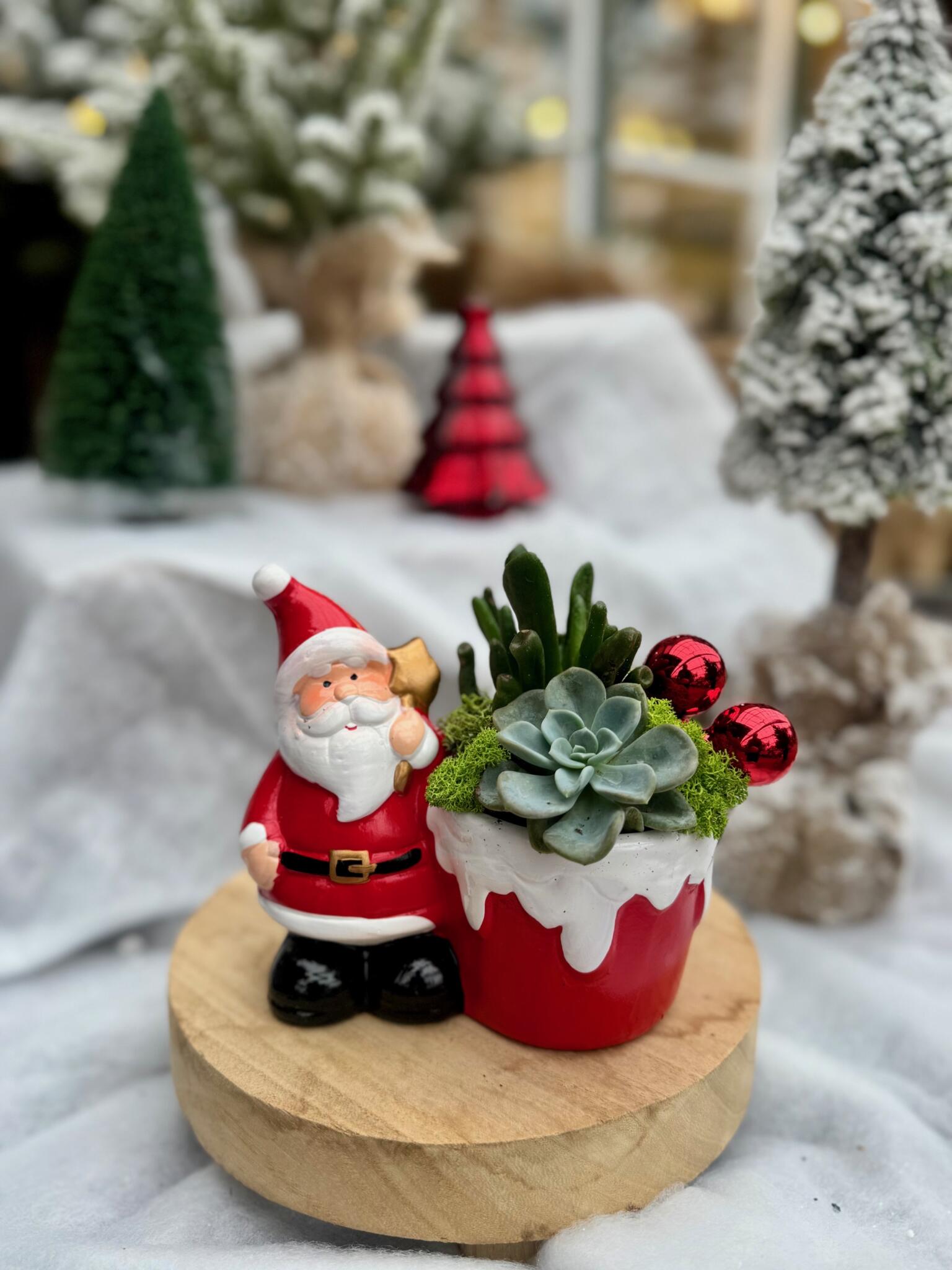 Red snow-capped pot with a succulent, moss and red baubles beside a ceramic Santa figure on a wood slice.