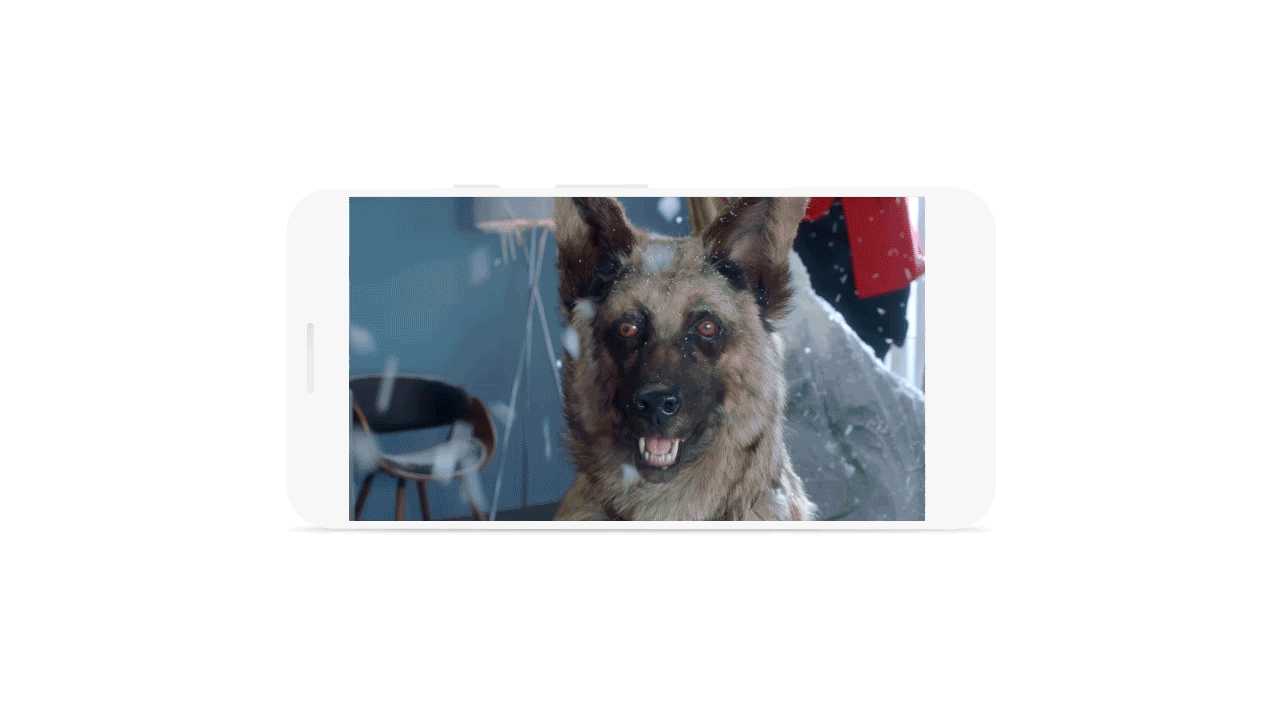 Stimorol gif