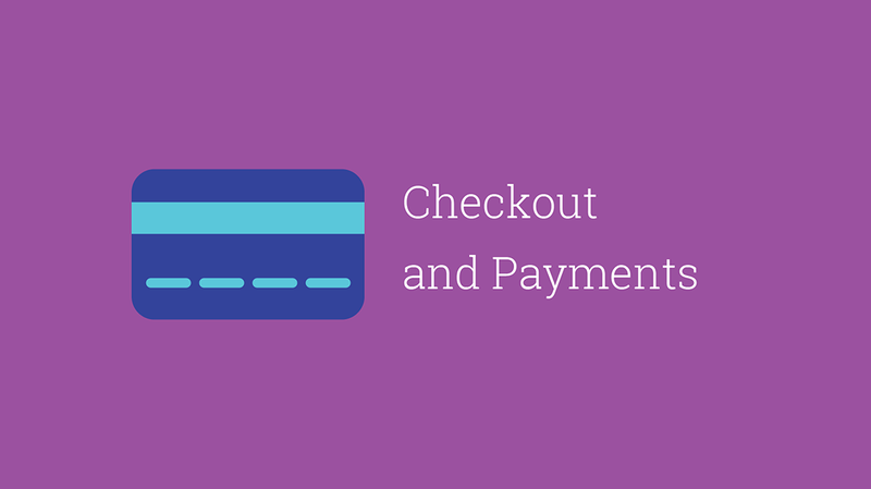 chapter 3 checkout and payments