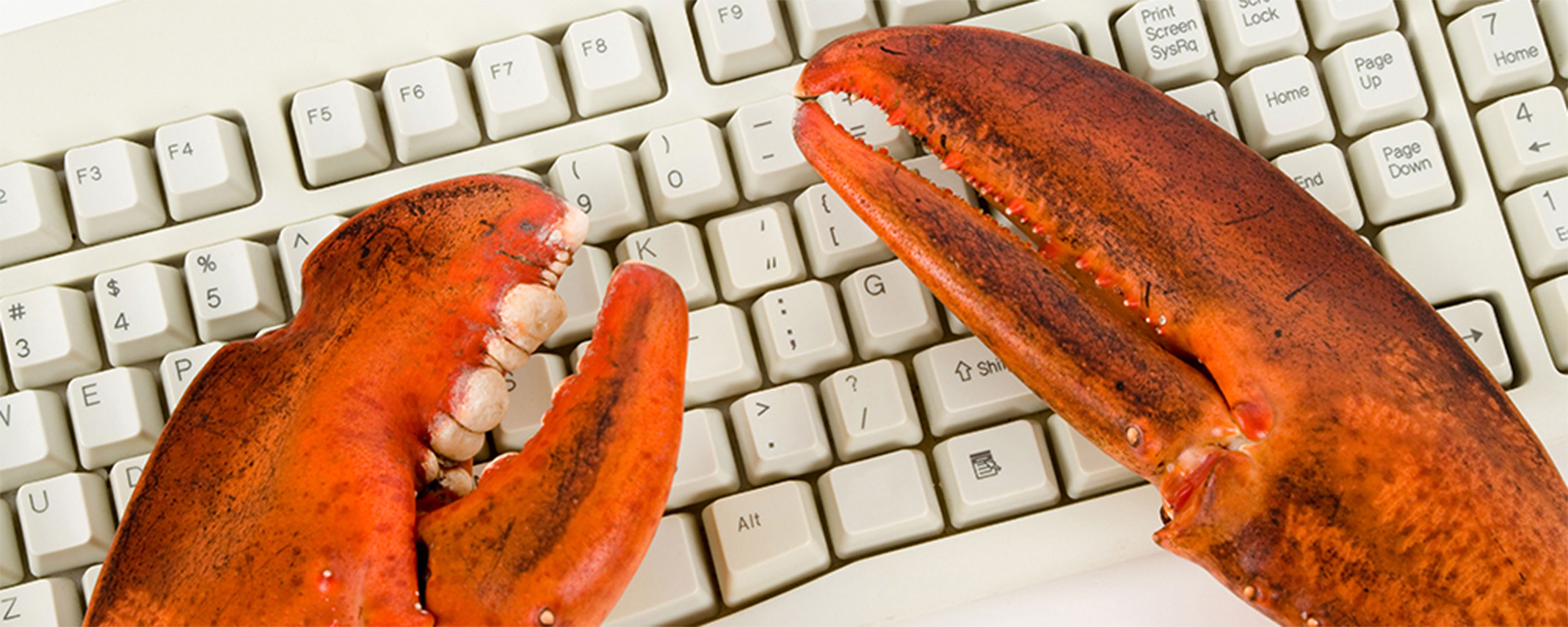 lobster
