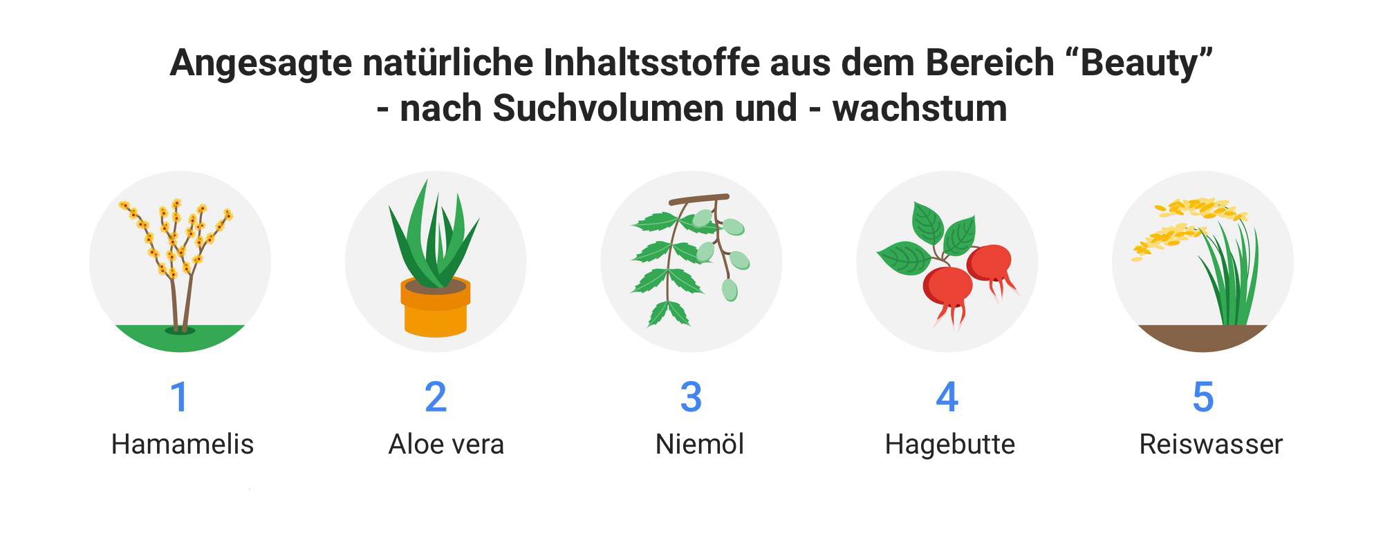 Trendsuche: Die angesagtesten Inhaltsstoffe in Kosmetikprodukten