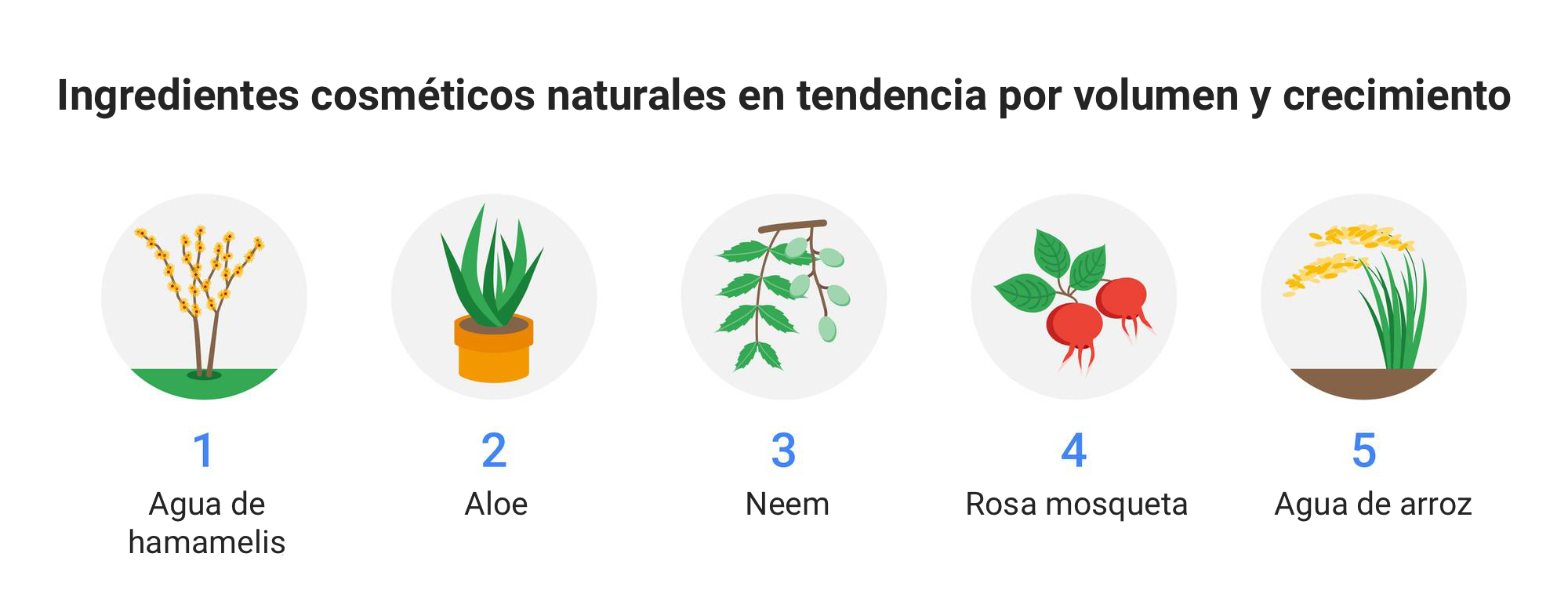Los datos de Google desvelan cuáles son los ingredientes más populares para el cuidado de la piel y del cabello, y probablemente los conozcas todos.