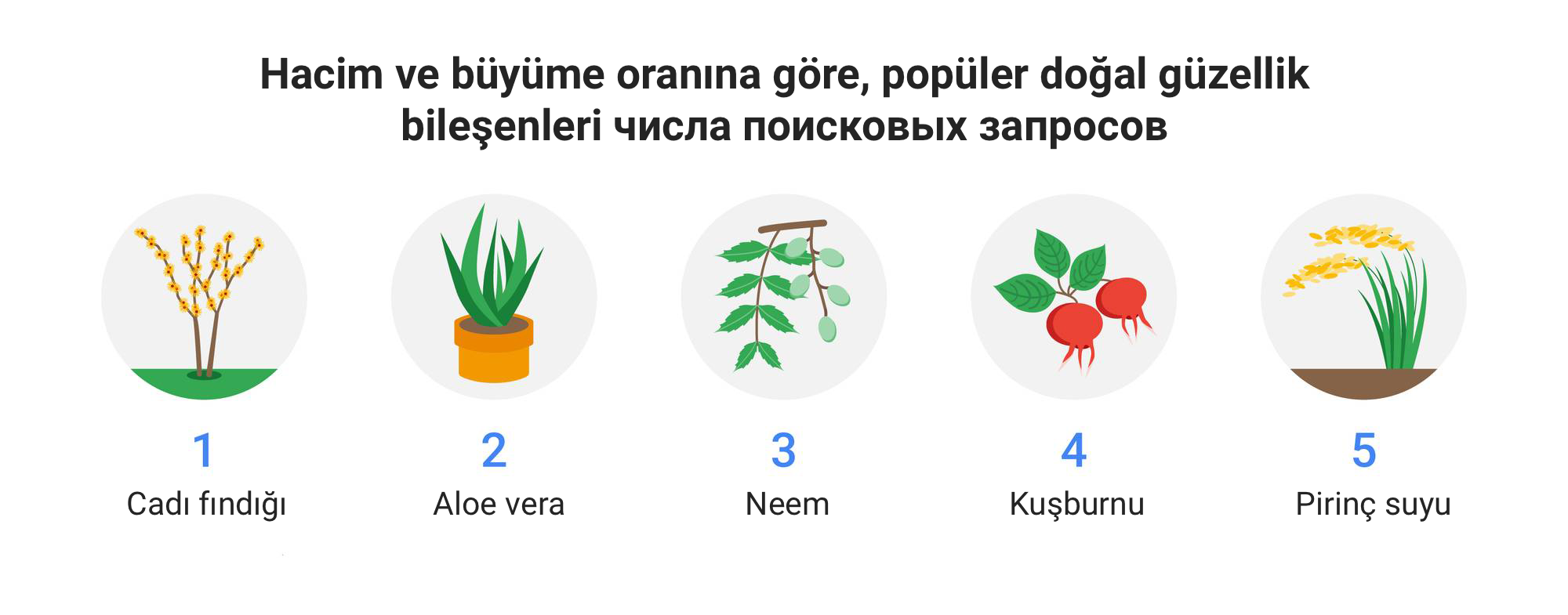Google verileri, en popüler cilt ve saç bakımı bileşenlerini gözler önüne seriyor. Üstelik, bunların hepsini muhtemelen daha önce duydunuz