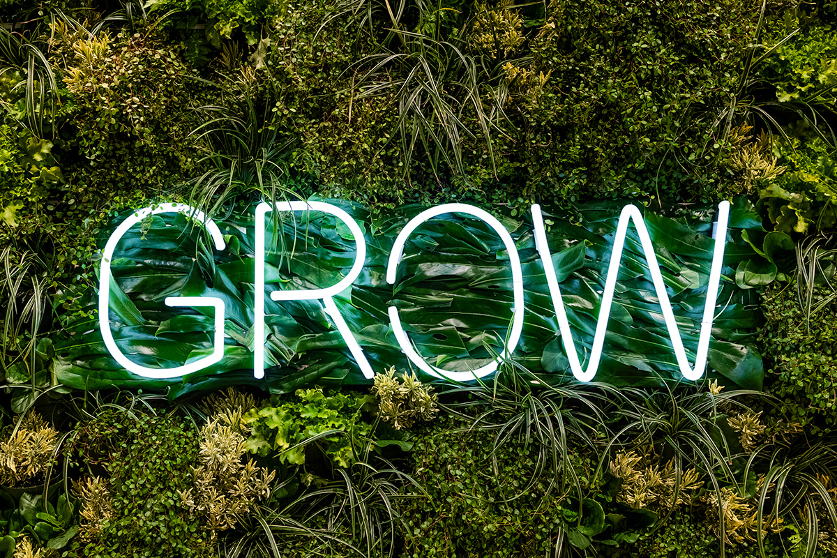 Grow With A Little Help From Google #DMEXCO19