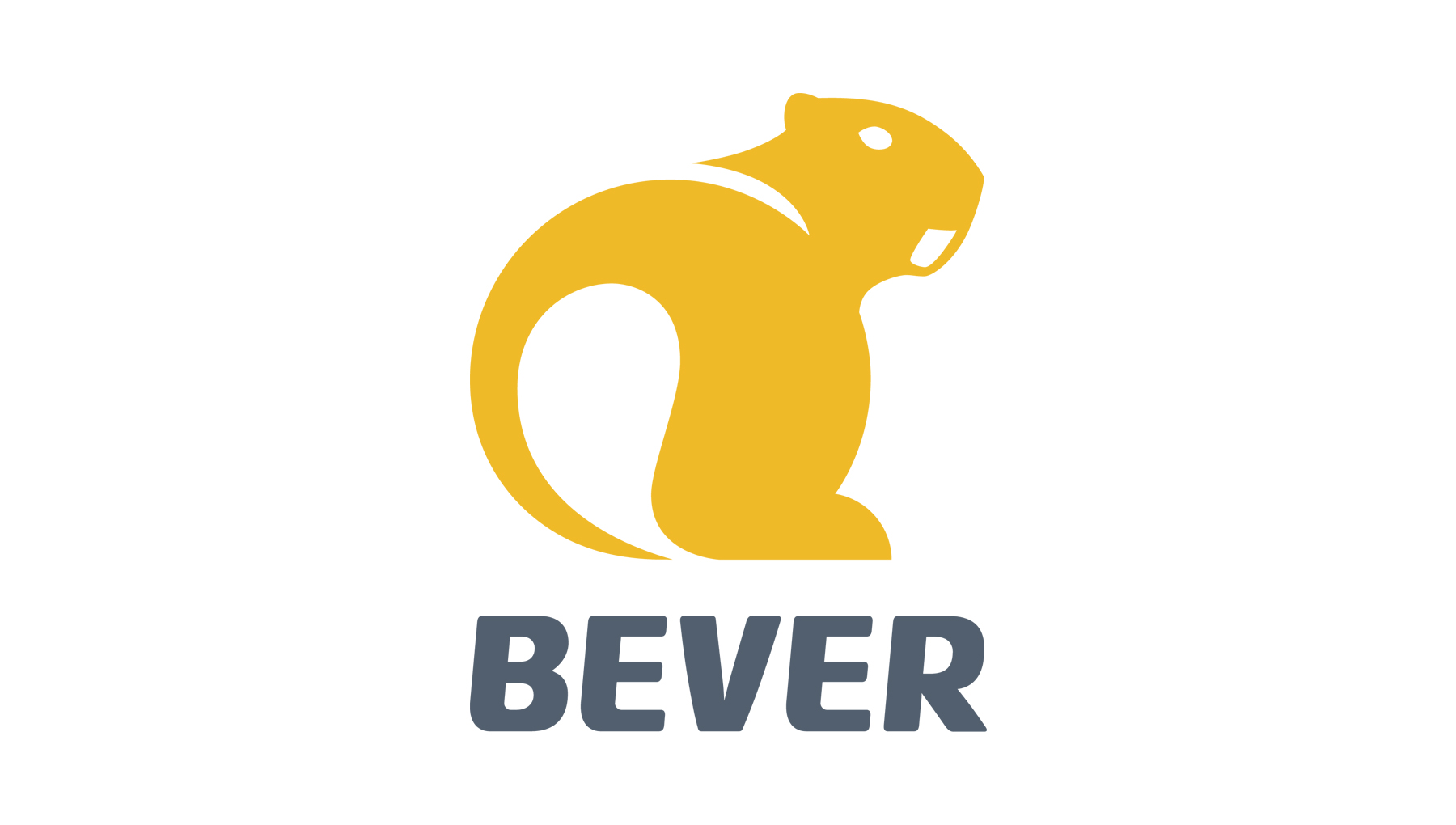 Dader Arbitrage Port Customer-focused innovation helps make Bever the most omni-channel retailer  in Europe.