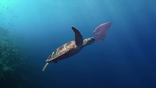 A sea turtle swimming under water with a plastic bag floating nearby.