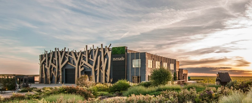 Cata de Vinos y Degustaciones