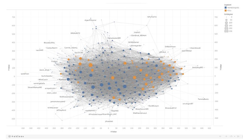 Another, more complex Network Graph