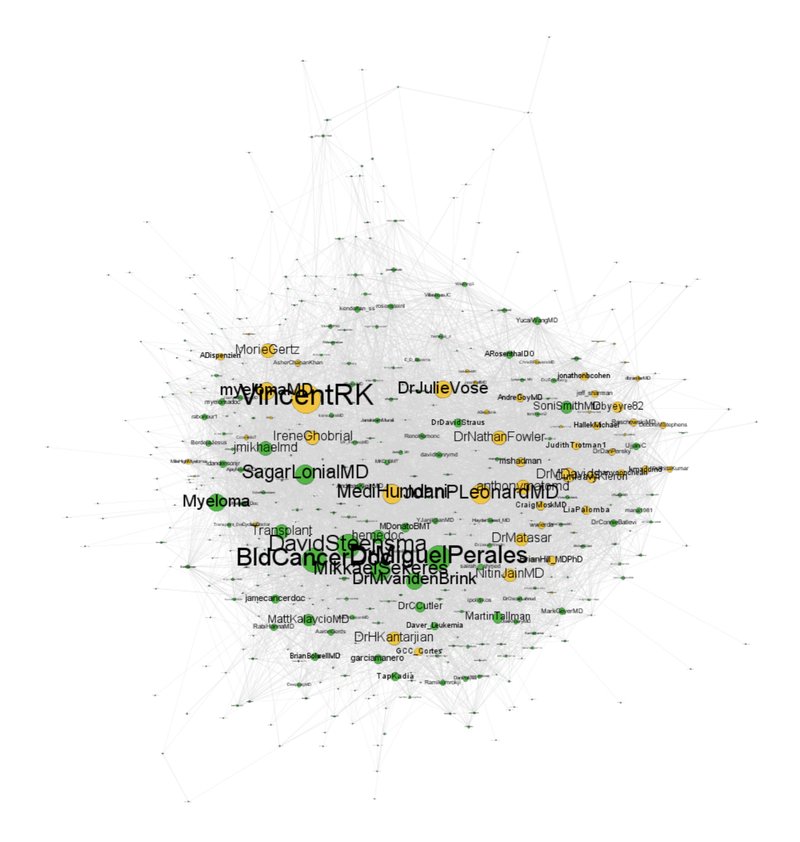 An example of a Network Graph