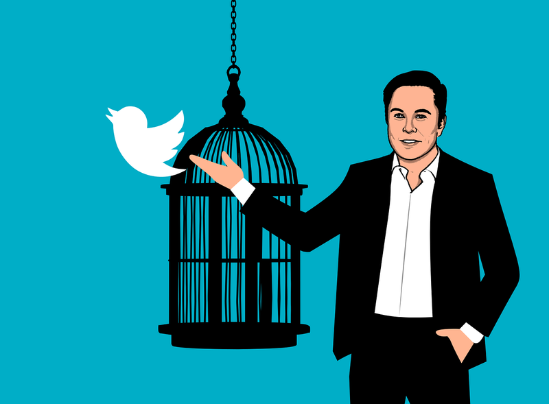 hometwitterapptwitter_extractortwitterappmed.max-800x600_trpvwa5